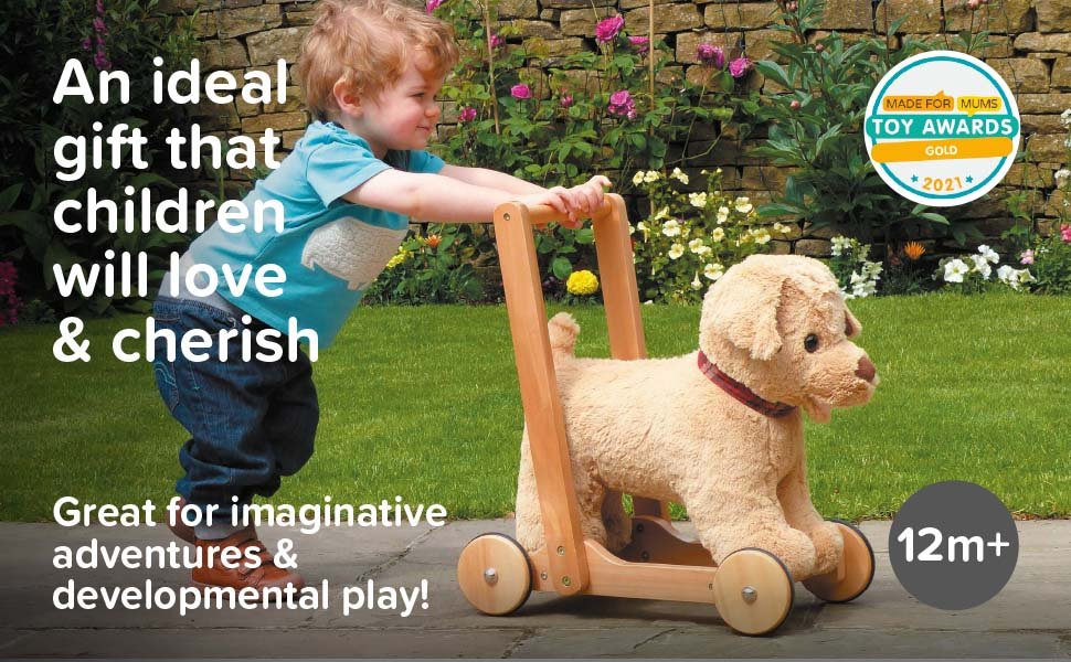 Little boy pushing a dog baby walker on wheels