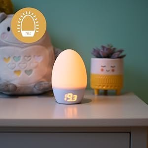 Groegg2