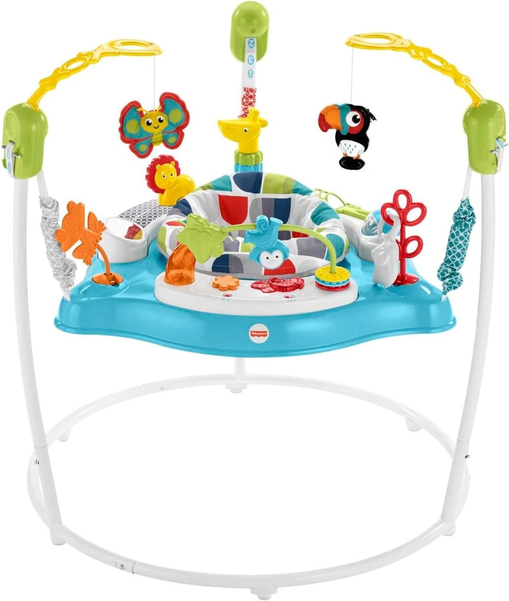 Fisher-Price Color Climbers Jumperoo Baby Bouncer Chair